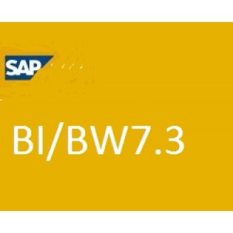 SAP BW 7.3 Training Videos-99$